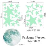 ⁦عرض 5 قطع نجوم فسفوريه⁩ - الصورة ⁦4⁩